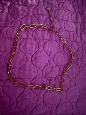 BaubleBar Link Chain Necklace - Women's Jewelry